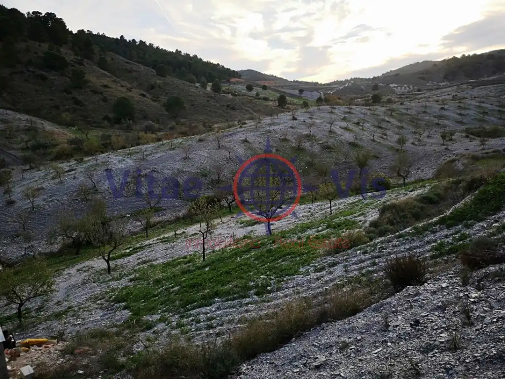 Casa amb piscina en venda a Poligono 202 Paraje 3399 La Solana, imagen 24