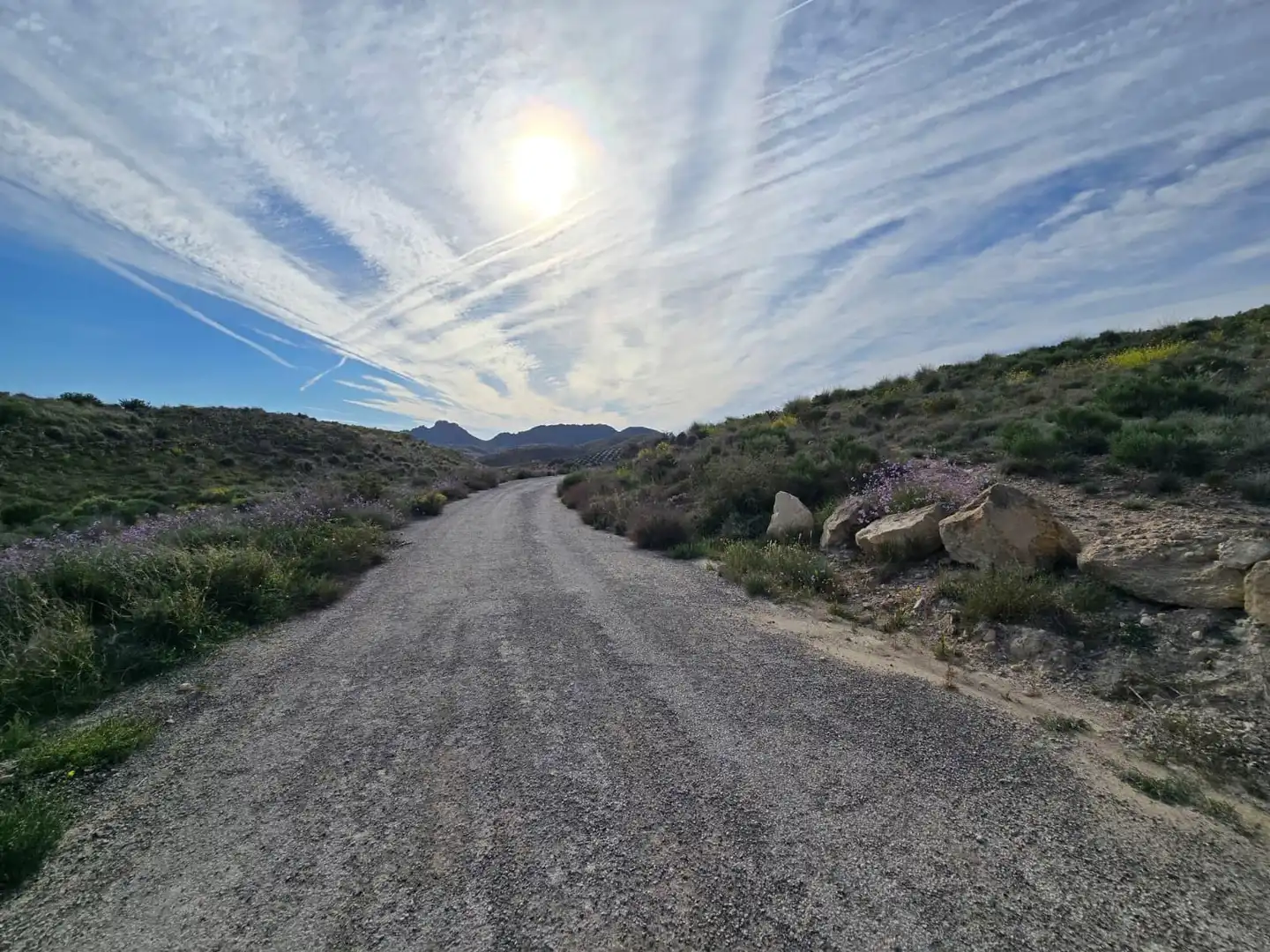 Vista exterior de Terreno en venta en Molina de Segura