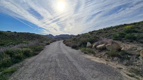 Photo 4 of Land for sale in Polígono Poligono 5, Parcela 469, Cañada de la Hur, 5, Centro, Molina de Segura