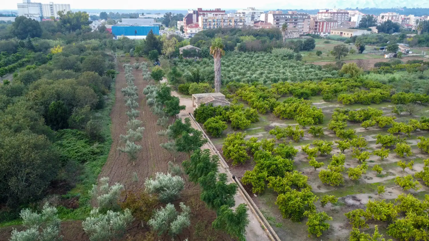 Terreny rústic en venda a Camí del Lloron de Tortosa 28, imagen 18