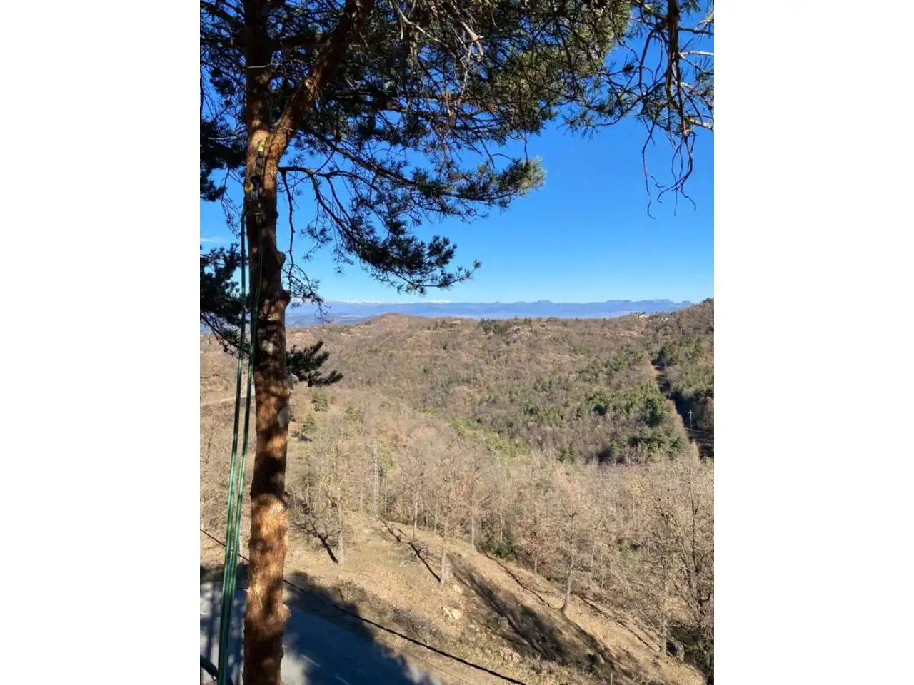 Residential land for sale in Calle FONTANELLES, imagen 5