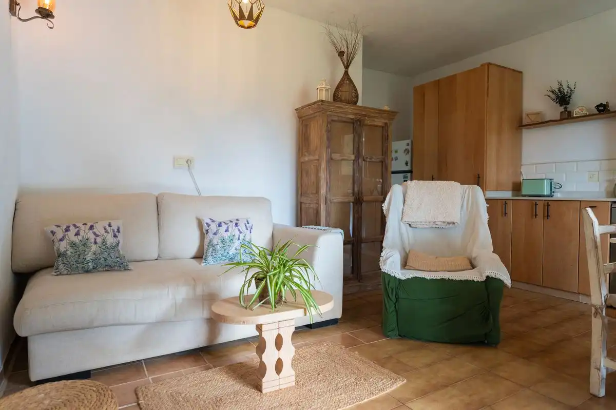 Maison avec jardin à vendre à Diseminado P 26 Sta Gertrudis, imagen 5