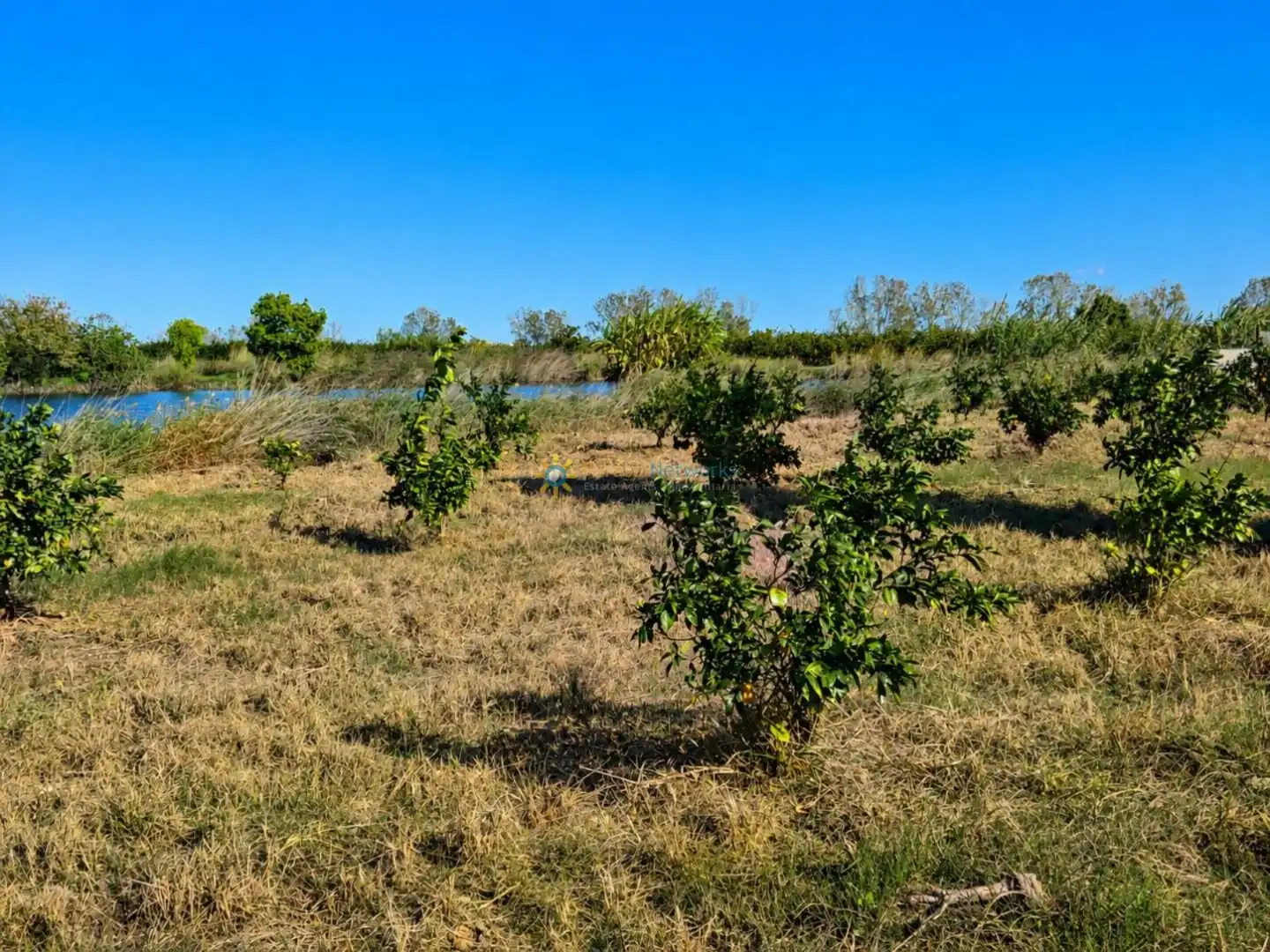 Finca rústica en venta en Xeraco con Jardín privado, Terraza y Trastero