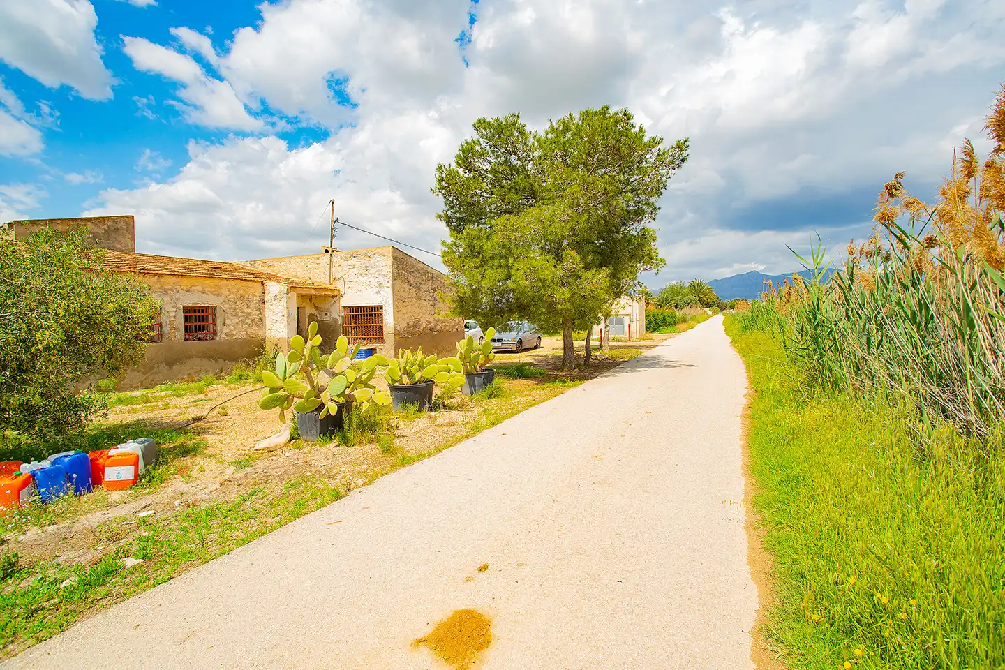 Vista exterior de Finca rústica en venda en San Isidro