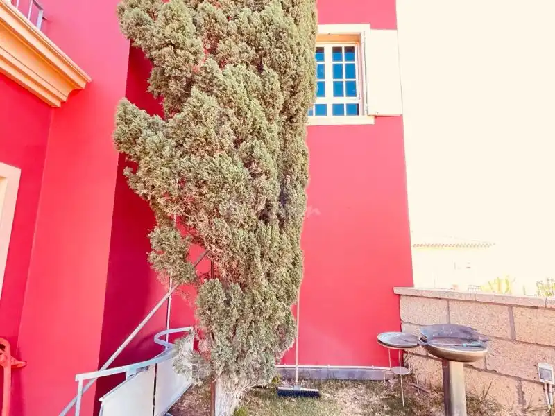 Casa o chalet en venta en Chayofa