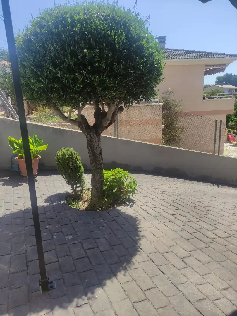 Jardín de Casa o chalet en venta en Cunit con Terraza y Piscina