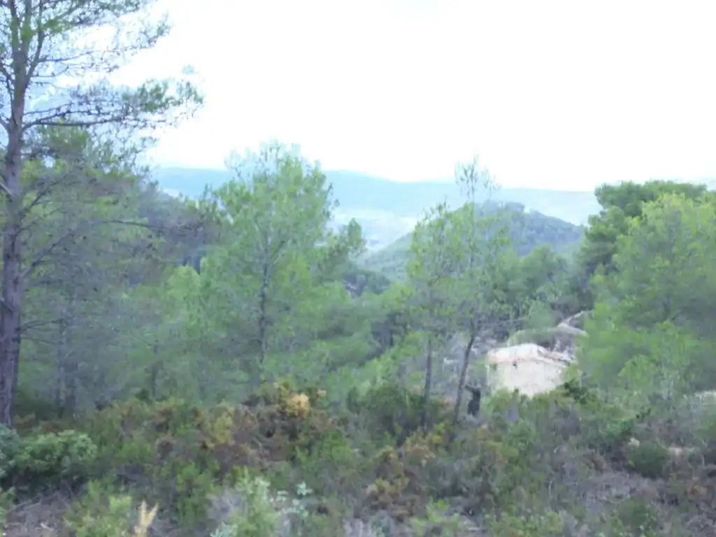 Finca rústica en venta en Partida garrachico, Torremanzanas / La Torre de les Maçanes