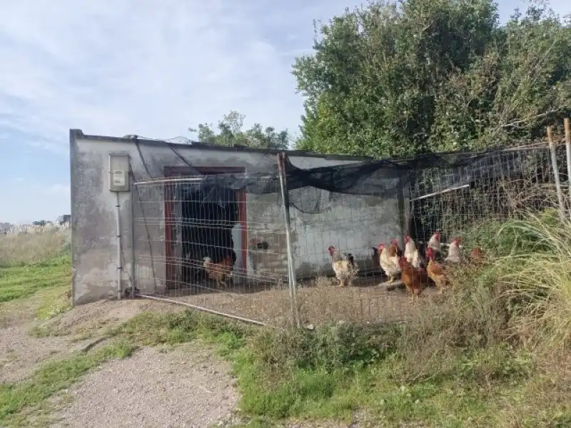 Terreni e lotti in vendita a Monte, imagen 10