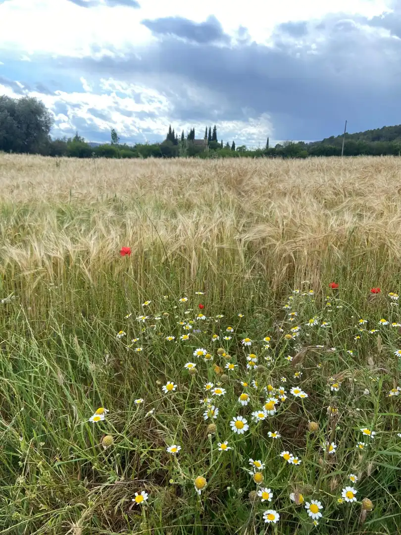 Finca rústica en venda en Maià de Montcal amb Aire condicionat, Calefacció i Jardí privat