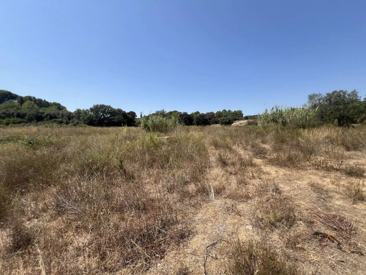 Rural land for sale in Camino Aleixar 15, imagen 8