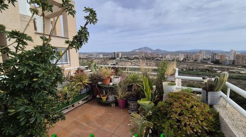 Foto 2 de Dúplex en venda a Playa Muchavista, El Campello