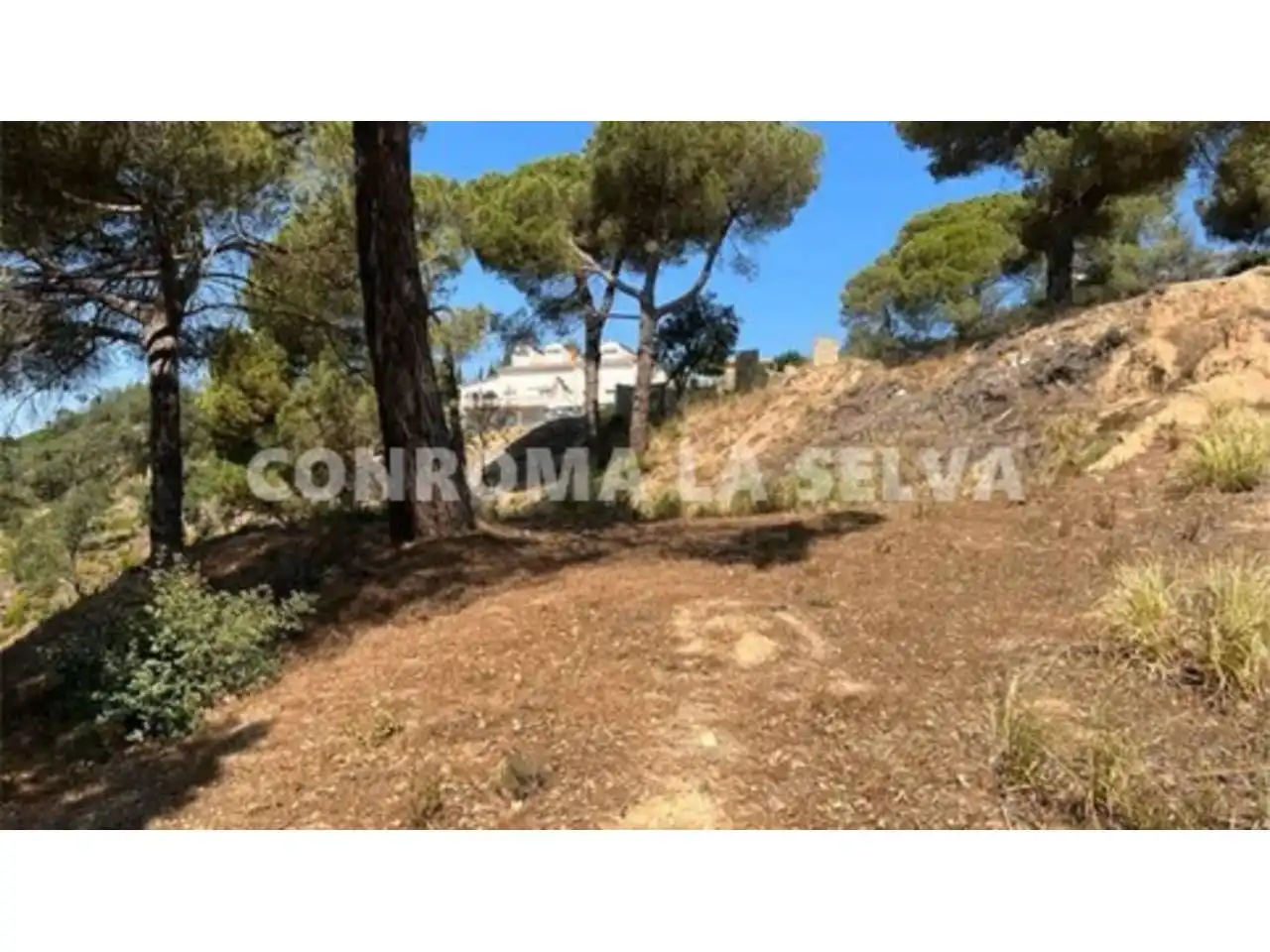 Wohnbaugrundstück zum Verkauf in Lloret Residencial - Montlloret