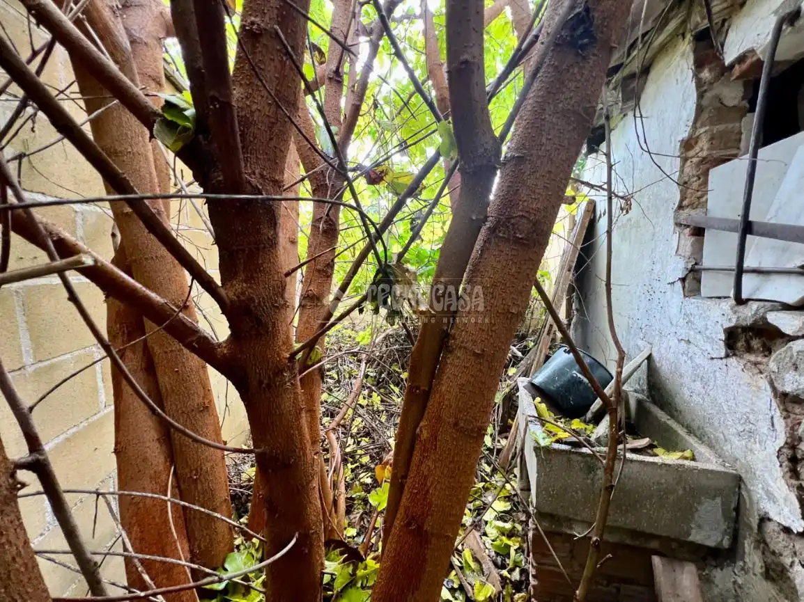 Finca rústica en venta en Ribatejada con Jardín privado
