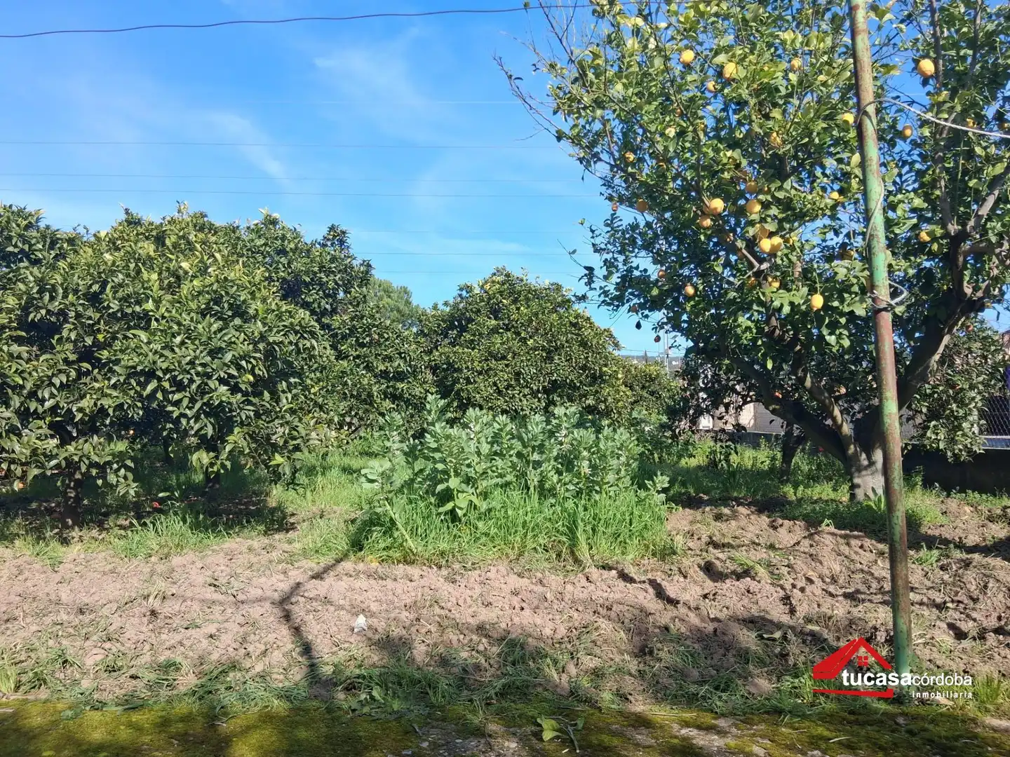 Finca rústica en venda en Córdoba
