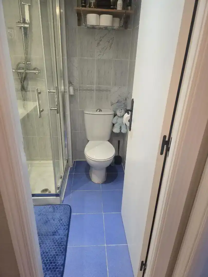Baño de Piso para compartir en Madrid con Parquet, Piscina y Amueblado