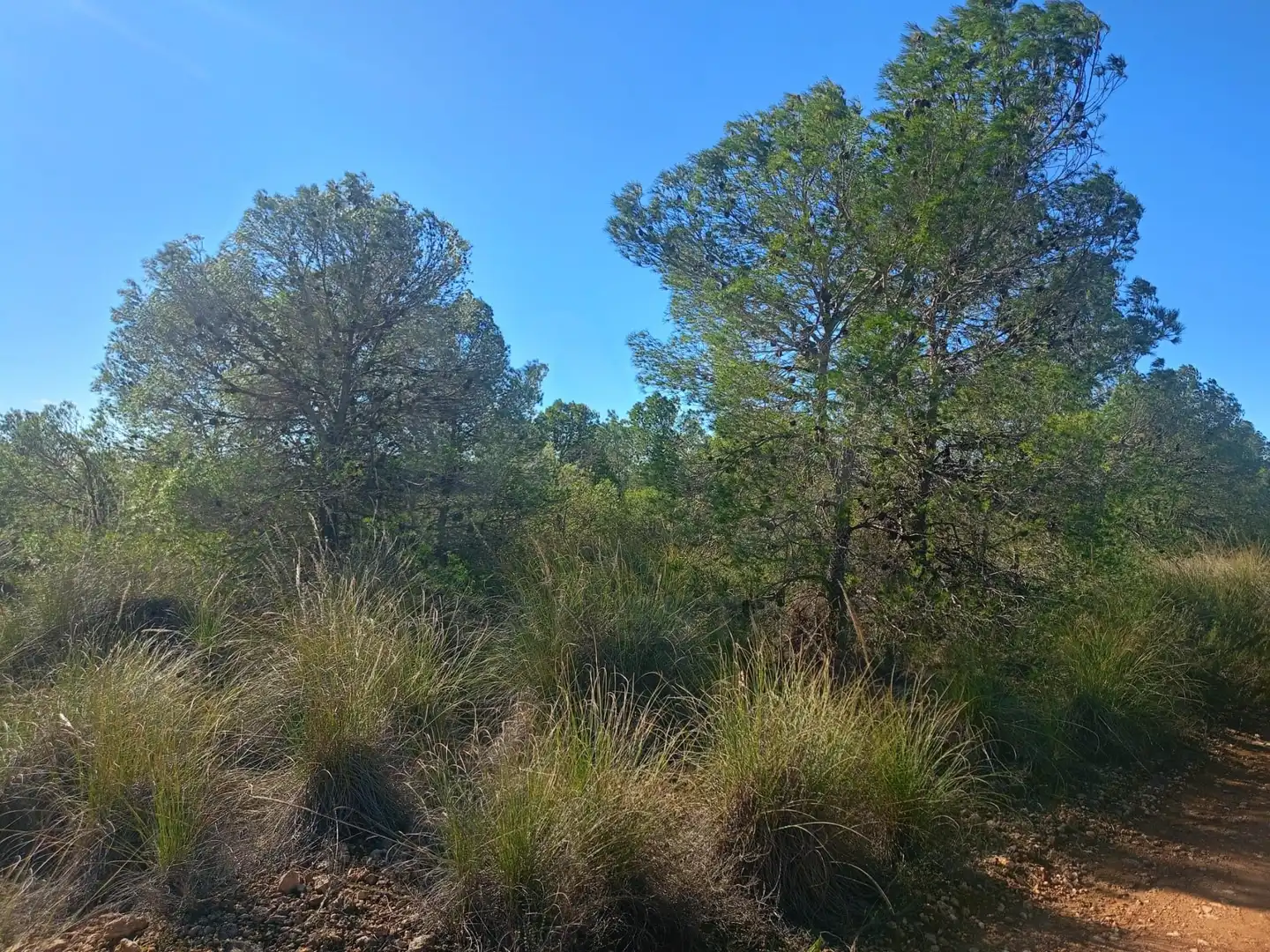 Grundstücke zum Verkauf in Lorca