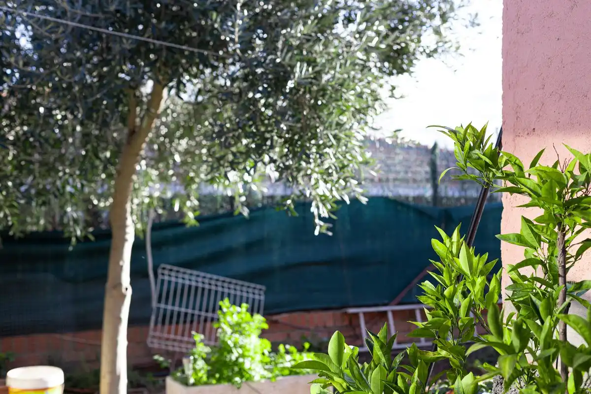 Jardín de Casa o chalet en venta en Móstoles con Aire acondicionado, Calefacción y Jardín privado
