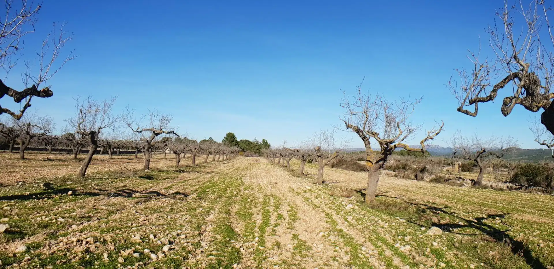 Finca rústica en venta en El Perelló con Jardín privado, Terraza y Trastero