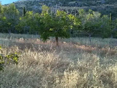 Terreni e lotti in vendita a la fuente de la higuera 22, imagen 4