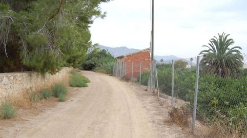 Foto 2 de Finca rústica en venda a Vereda del Cementerio, 264, Desamparados - Hurchillo - Torremendo, Orihuela
