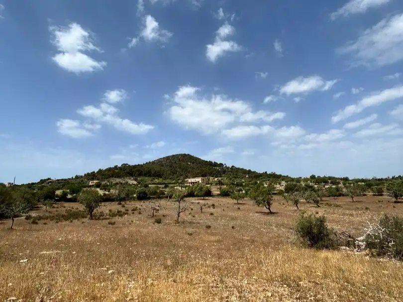 Terreny en venda en Santanyí