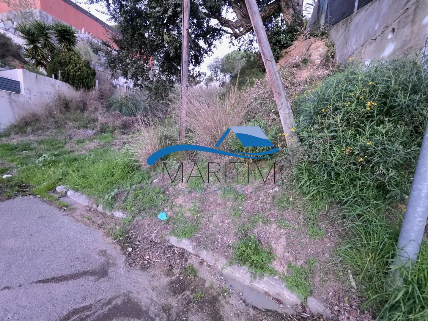 Terrenos y solares en venta en Sensitiva, imagen 6