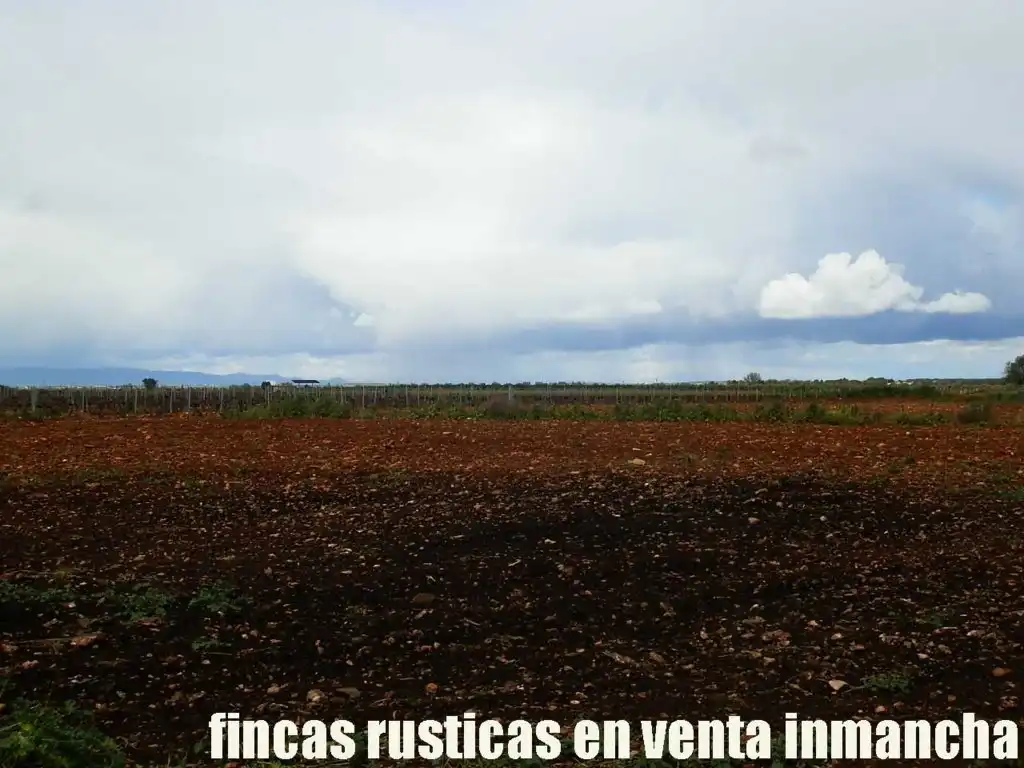 Terreno rustico in vendita a Pozuelo de Calatrava