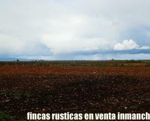 Land for sale in Pozuelo de Calatrava
