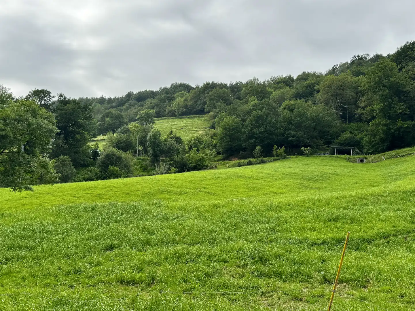 Casa o chalet en venta en Selaya