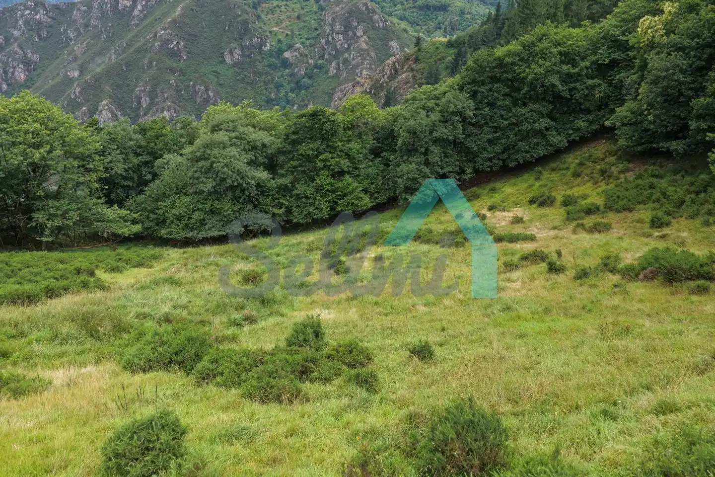 Land for sale in Proaza