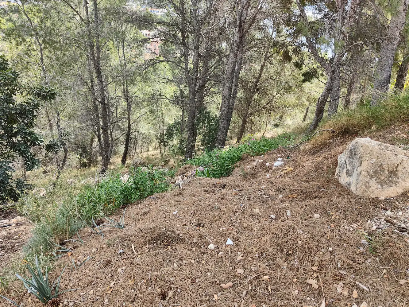 Terreno rustico in vendita a Calle Isla de Altea 4EC, imagen 4