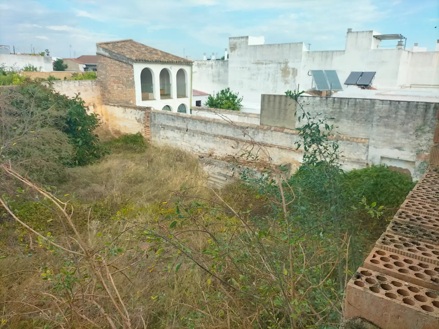 Maison avec terrasse à vendre à Olivares, imagen 35
