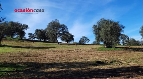 FINCA RÚSTICA EN PEDROCHE, imagen 2