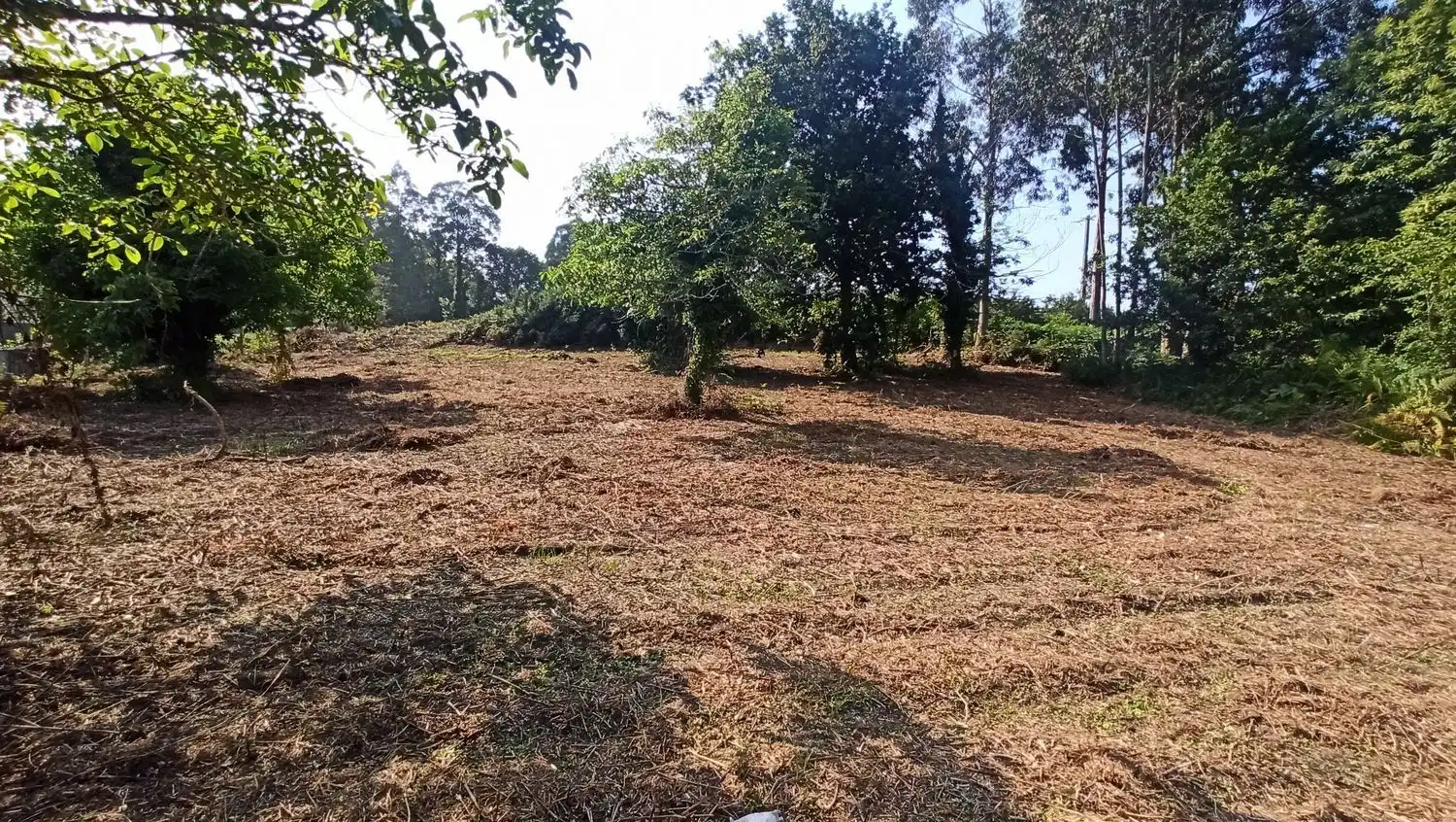Terreno residencial en venta en Malata 0, imagen 8