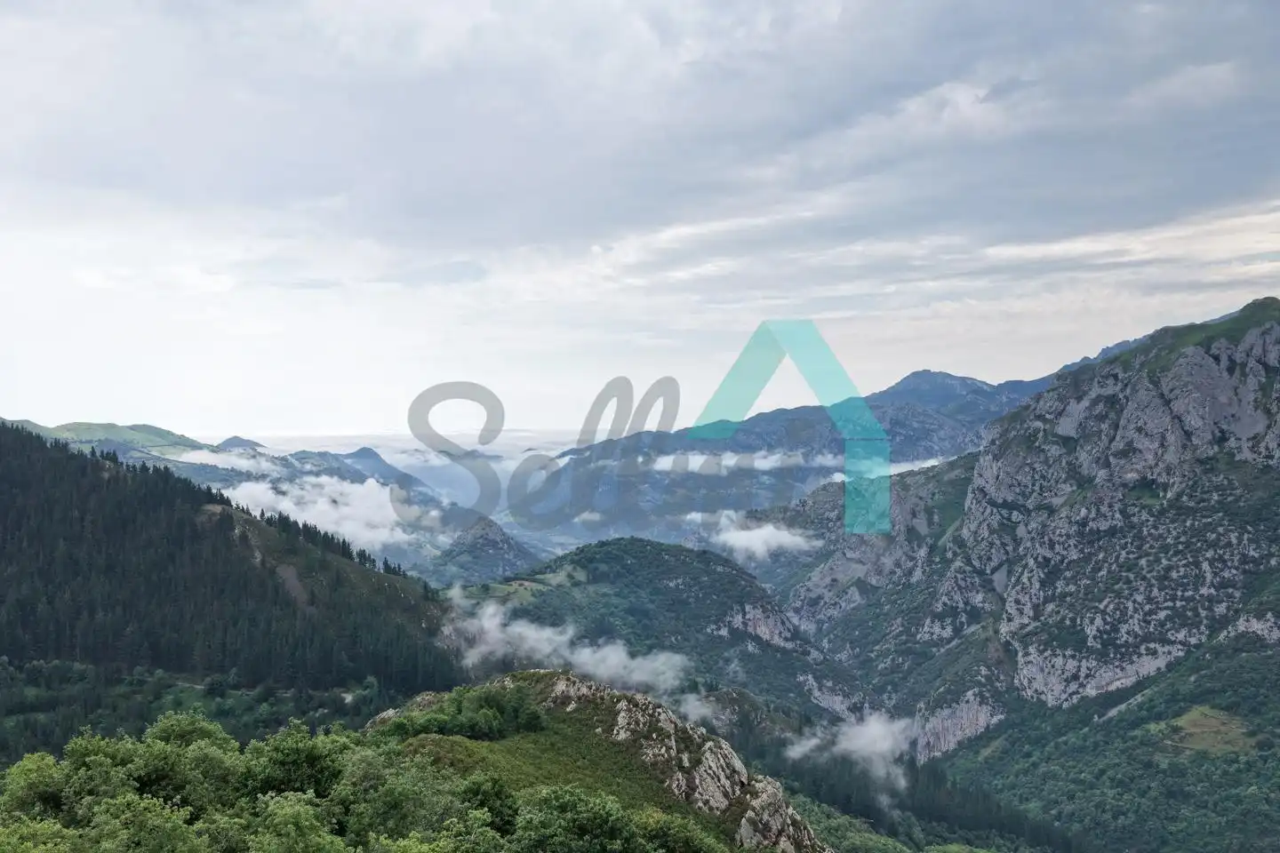 Exterior view of Land for sale in Proaza