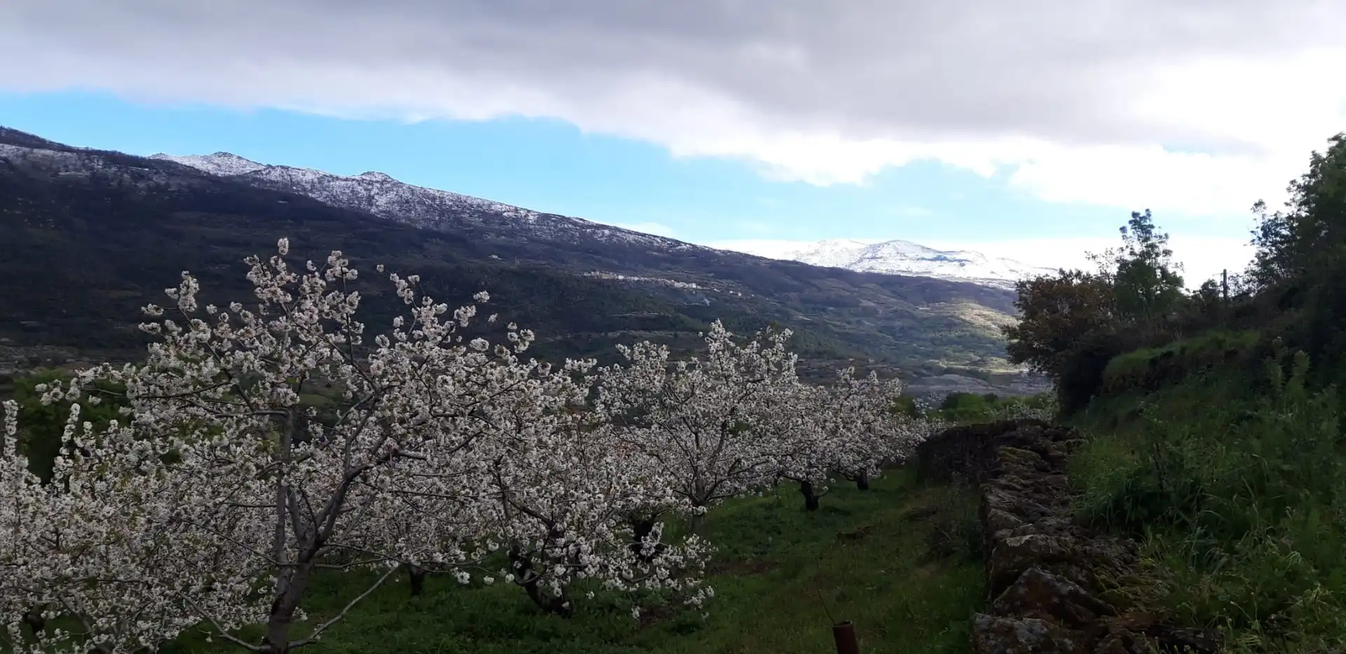 Terreni e lotti in vendita a Casas del Castañar, imagen 18