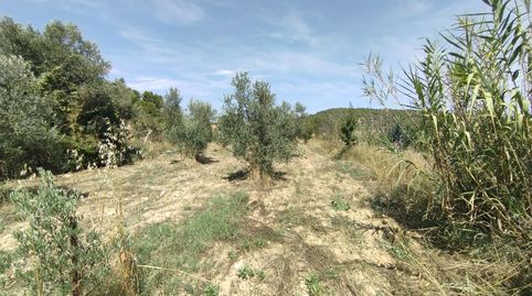 Finca rústica con maset, immagine 3