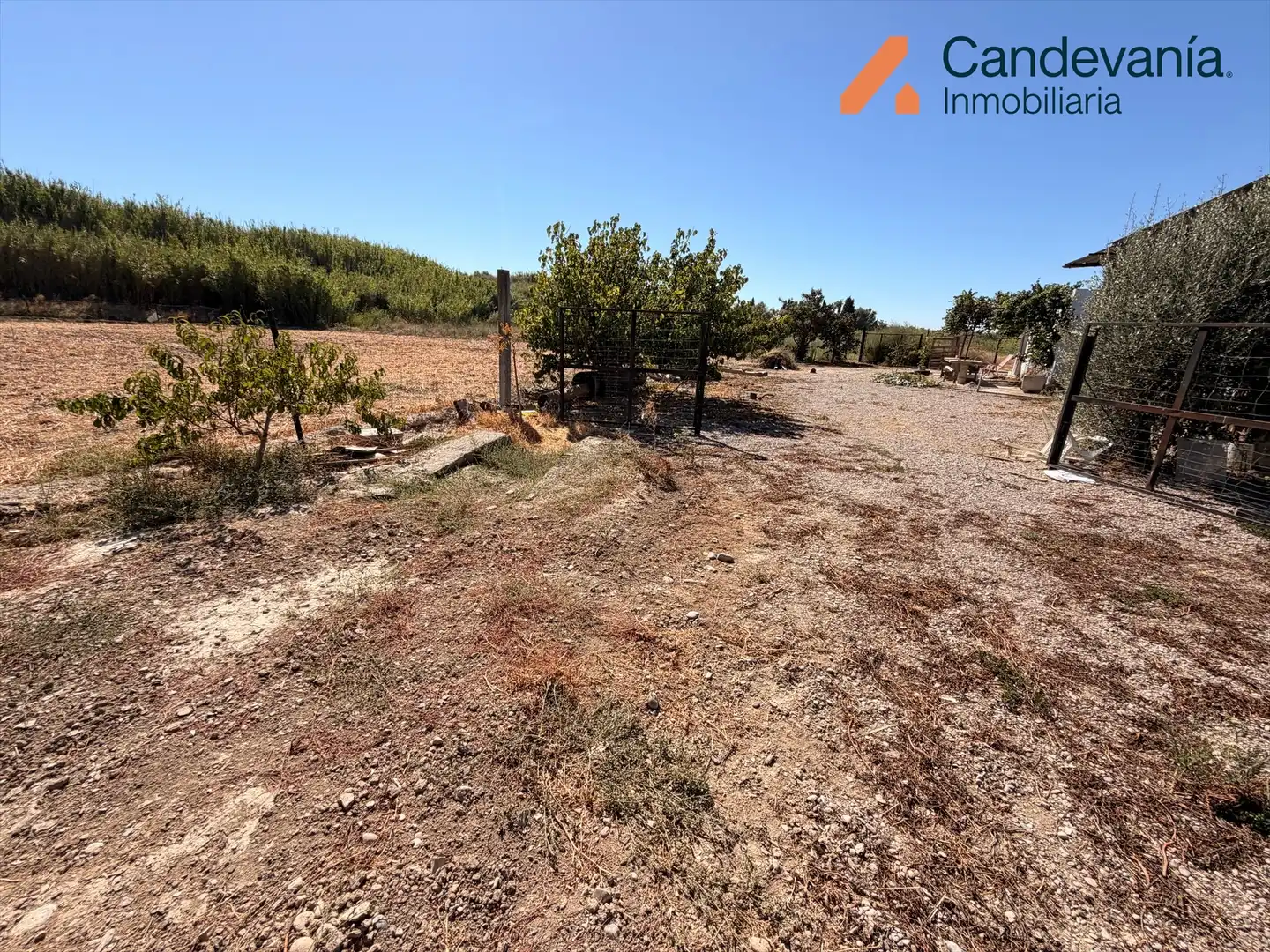 Rural land for sale in Zuera, imagen 13