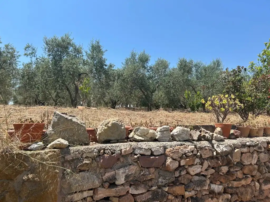Finca rústica en venta en Sot de Ferrer