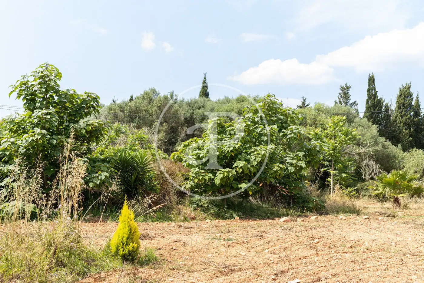Houses for rent in Felanitx  with Air Conditioner, Private garden and Swimming Pool
