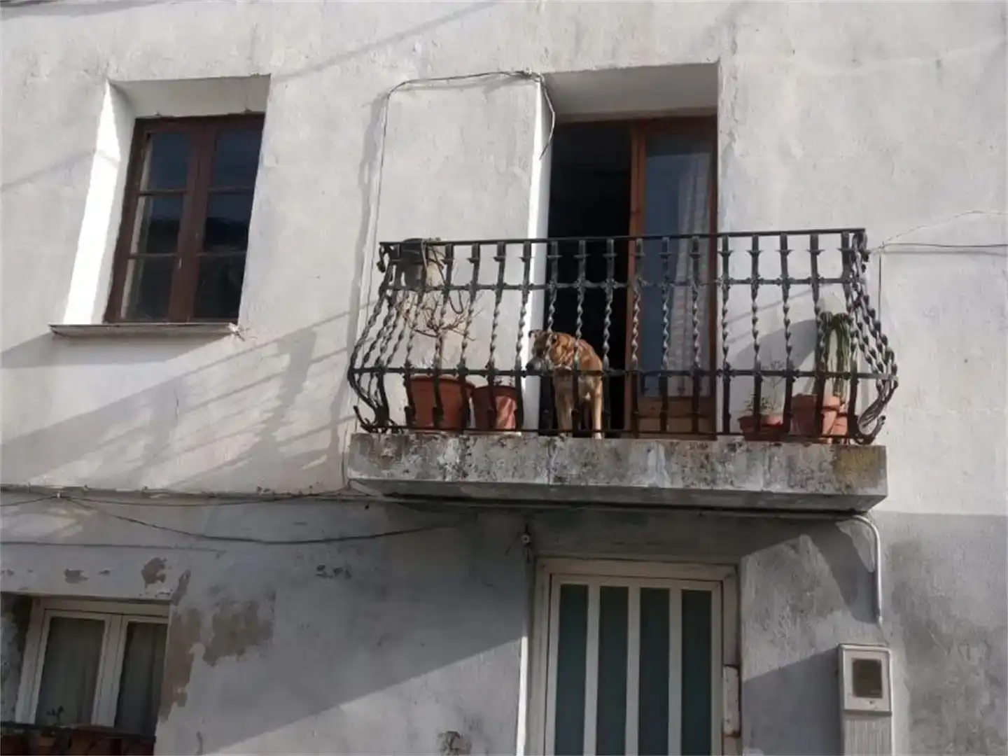 Terrassa de Casa o xalet en venda en El Cogul amb Balcó
