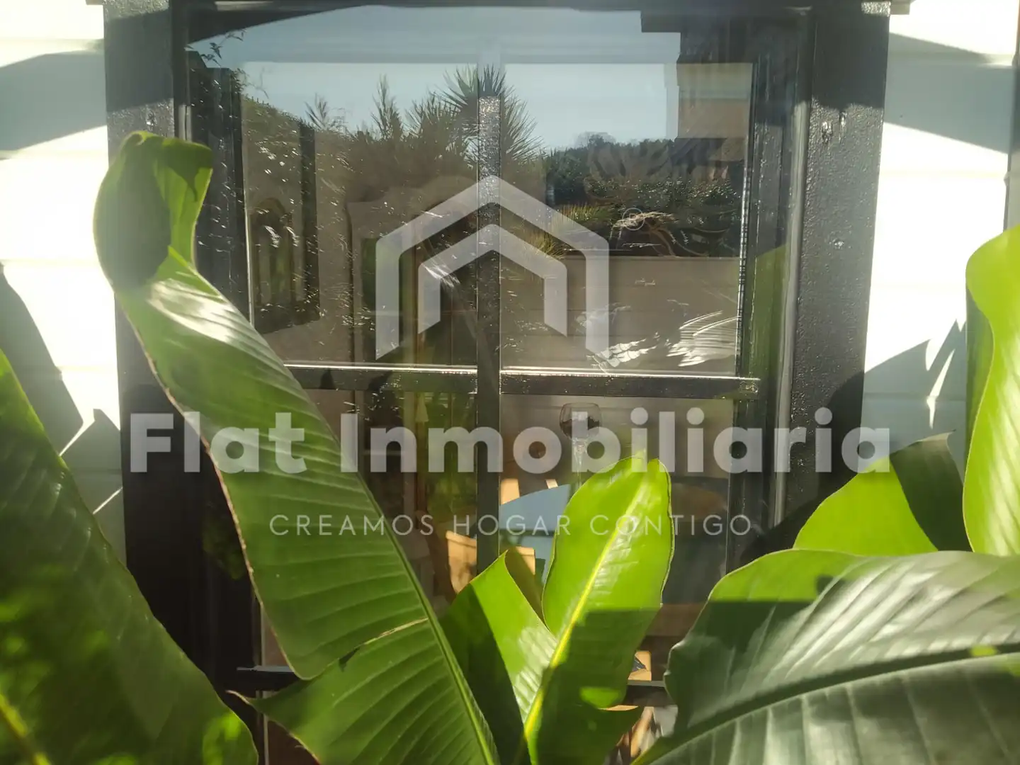 Vivienda con piscina en venta en Plaza Brazomar 54, imagen 5