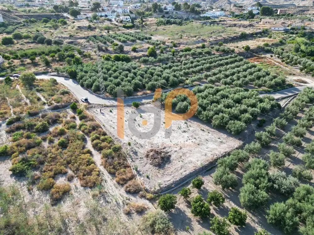 Terreny rústic en venda a Arboleas, imagen 3