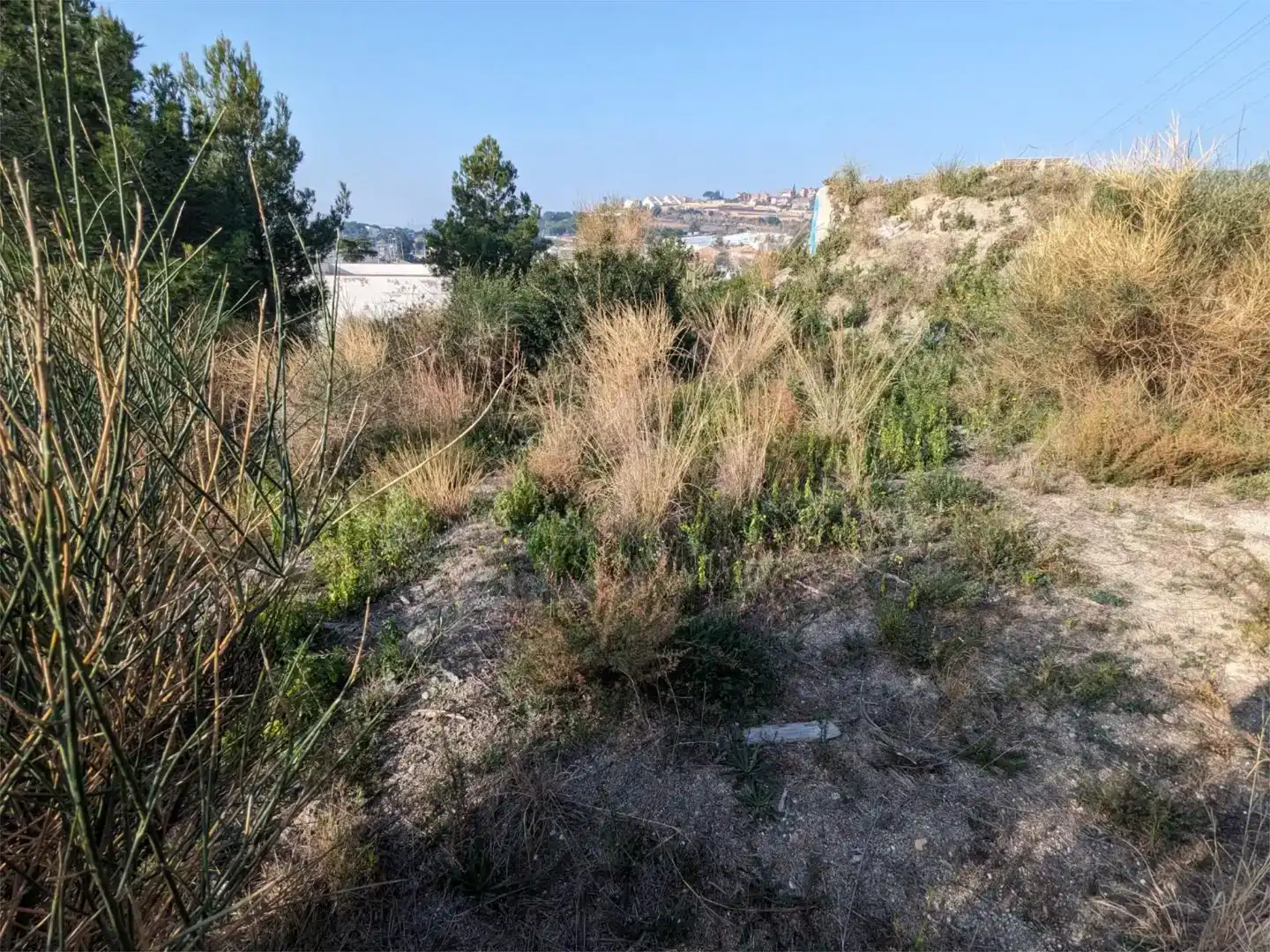 Terreno en venta en Califòrnia - Santa Madrona  