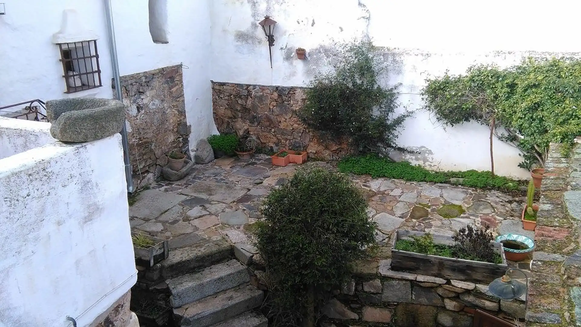 Jardí de Casa o xalet en venda en Magacela amb Aire condicionat, Jardí privat i Terrassa