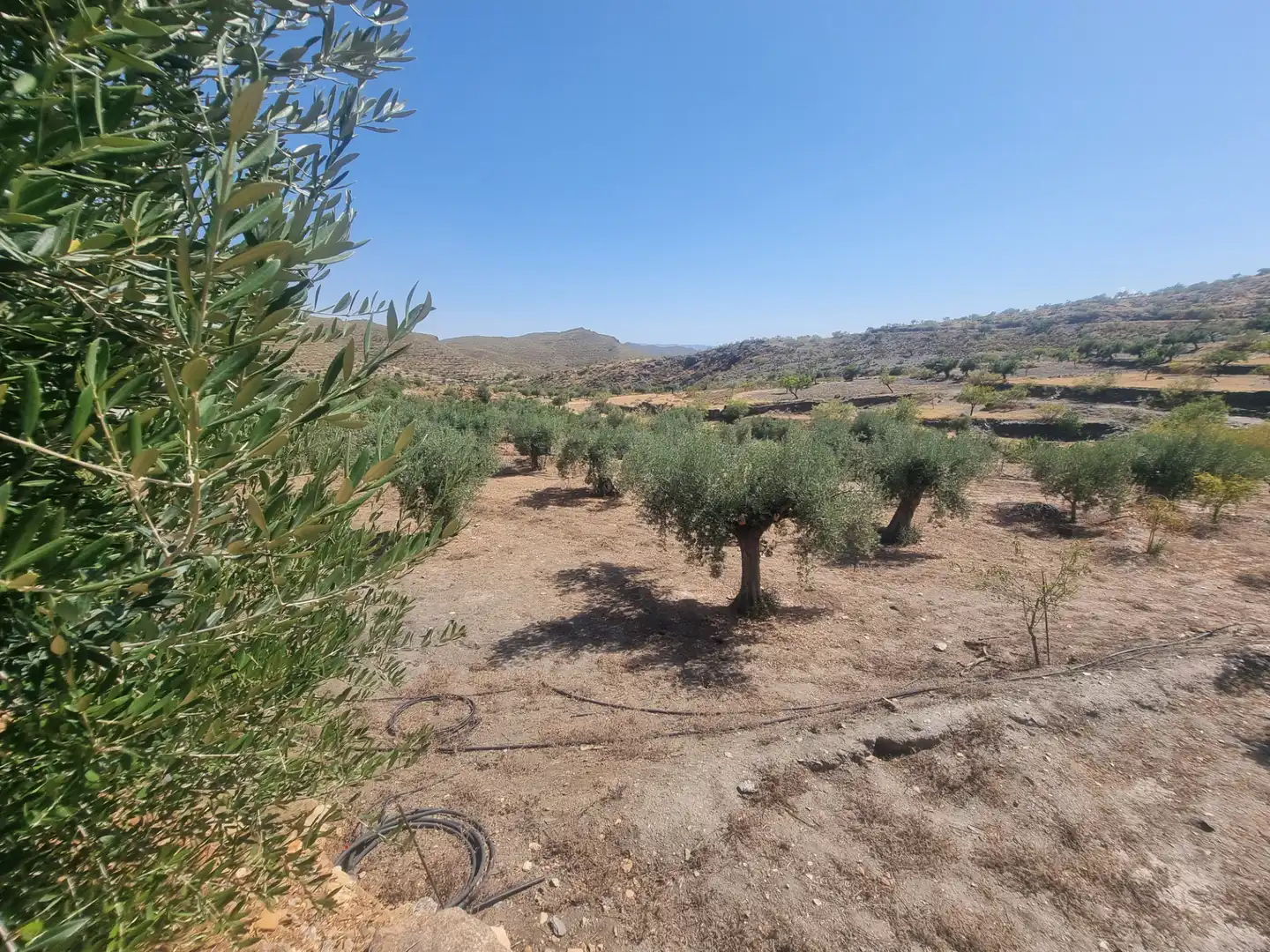 Terreno en venta en Senés