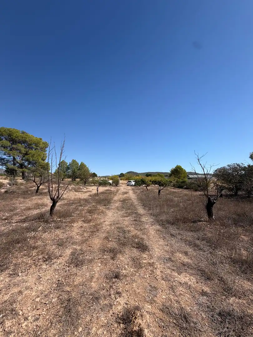 Casa rústica con jardín en venta en Monóvar  / Monòver, imagen 3