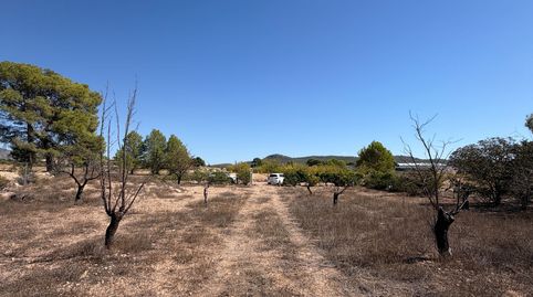 Foto 3 de Finca rústica en venda a Monóvar / Monòver, Alicante
