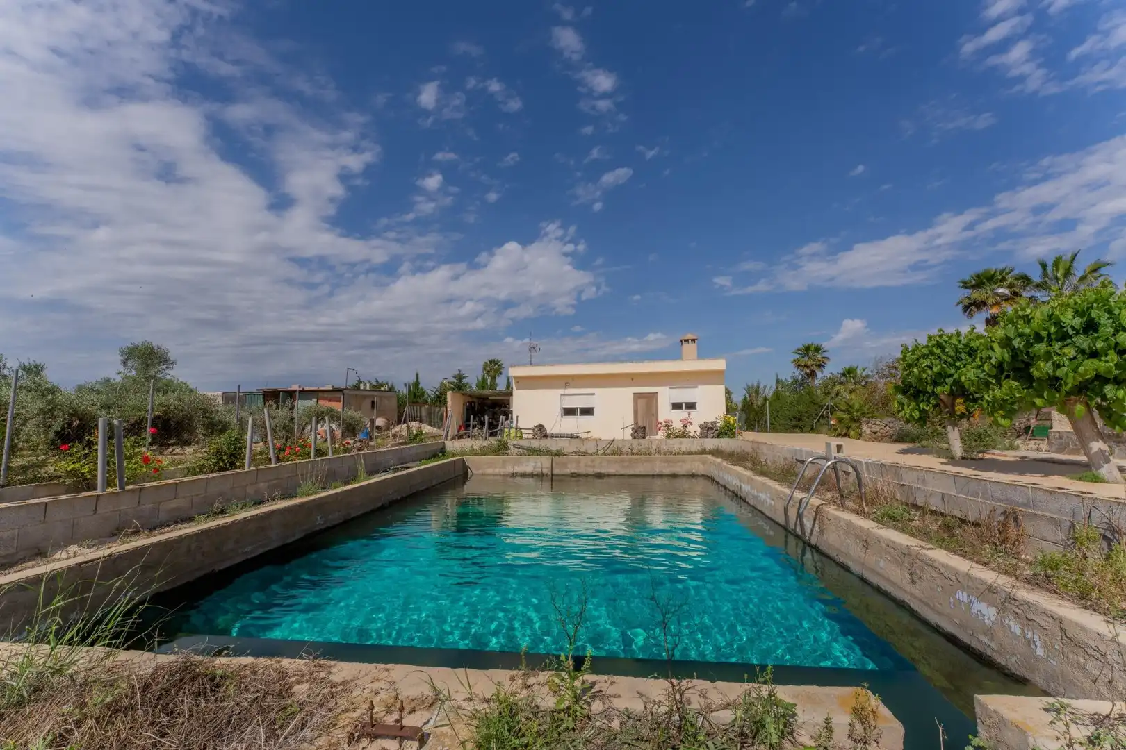 Piscina de Casa o xalet en venda en Crevillent amb Piscina