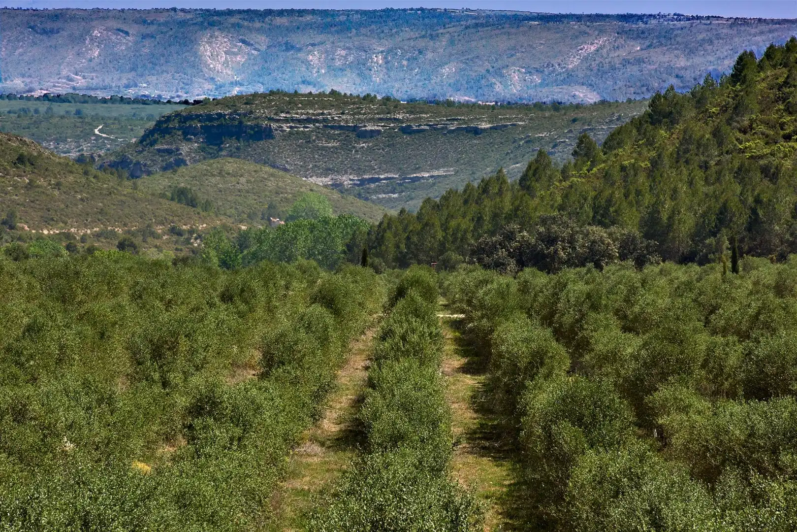 Vista exterior de Finca rústica en venta en Enguera con Calefacción, Jardín privado y Terraza